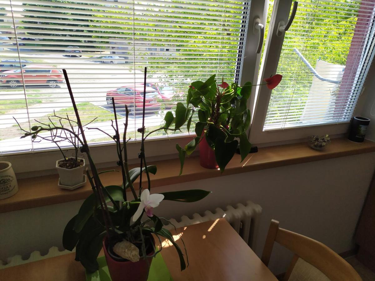 Apartman Jan Breclav Luaran gambar